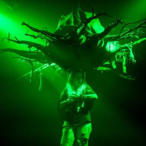 Profesionalių teatrų festivalis „Medunešis“ Baisogaloje pradėtas jautriu spektakliu apie laumes.