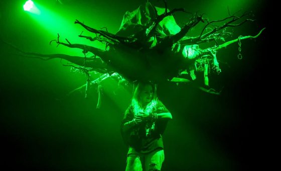 Profesionalių teatrų festivalis „Medunešis“ Baisogaloje pradėtas jautriu spektakliu apie laumes.